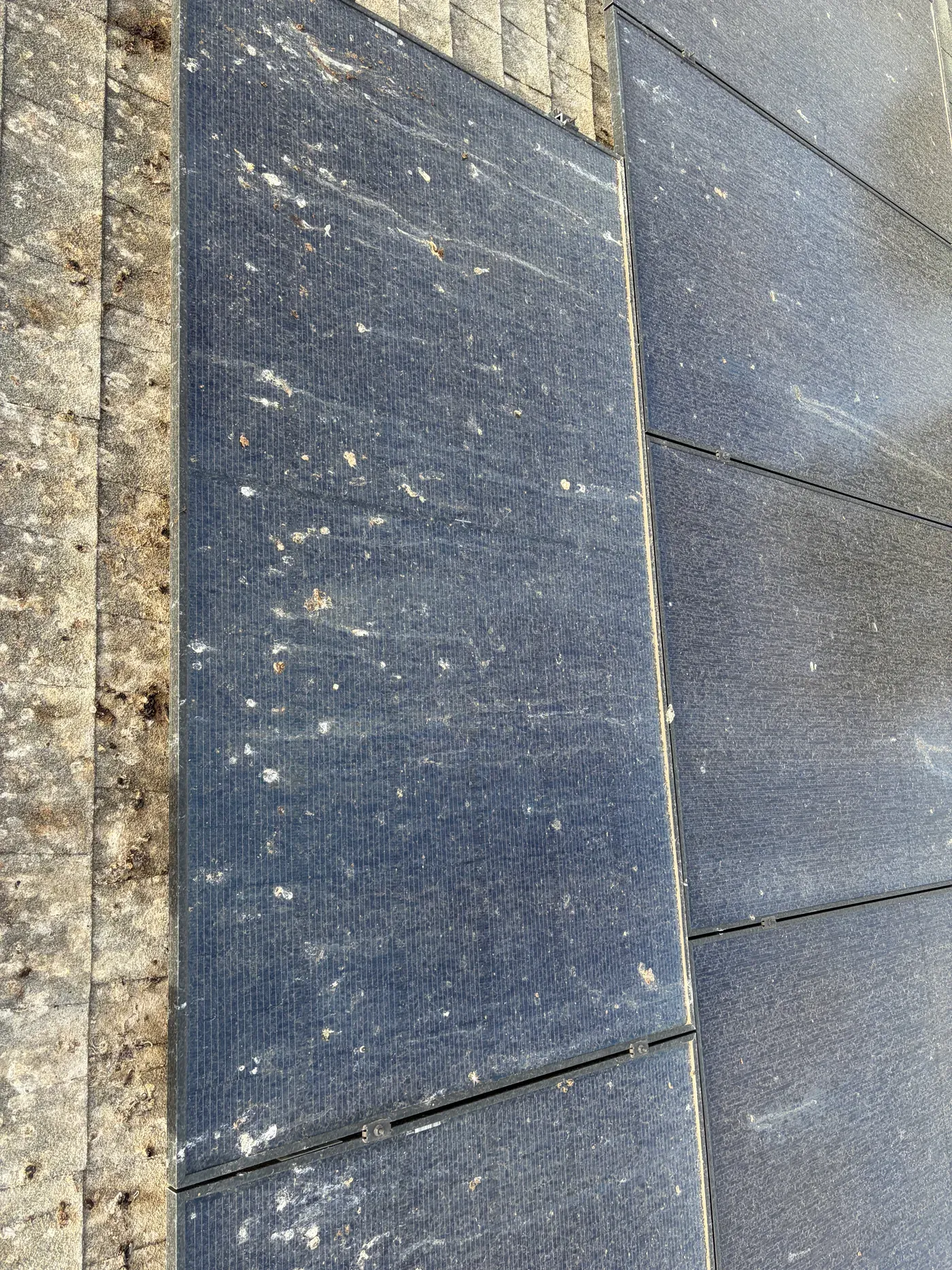 Dust and scattered droppings visible on rooftop solar panels